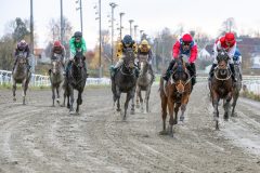 20251102-150832-DSC_0863