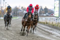 20251102-150832-DSC_0874