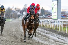 20251102-150833-DSC_0878