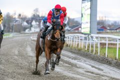 20251102-150833-DSC_0880