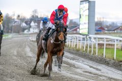 20251102-150833-DSC_0881