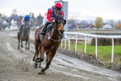 20251102-150833-DSC_0885