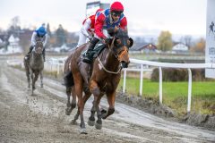 20251102-150833-DSC_0887