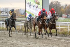 20251102-150846-DSC9718