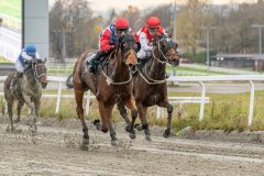 20251102-150847-DSC9722