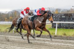 20251102-150848-DSC9732