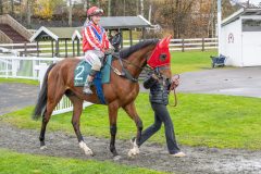 20251102-152359-DSC9878