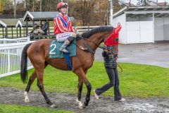 20251102-152359-DSC9883