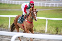 20251102-152434-DSC_0963