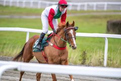 20251102-152434-DSC_0966