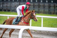 20251102-152435-DSC_0971