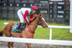 20251102-152436-DSC_0976