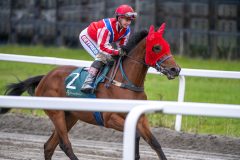 20251102-152500-DSC_1015