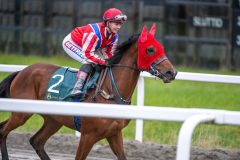 20251102-152500-DSC_1021