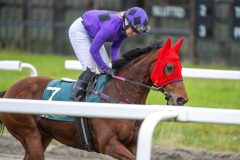 20251102-152517-DSC_1053