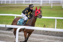 20251102-152526-DSC_1077