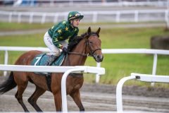 20251102-152548-DSC_1098