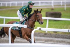 20251102-152549-DSC_1101