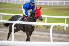 20251102-152632-DSC_1190