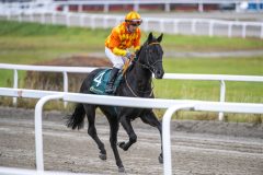 20251102-152642-DSC_1229