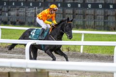 20251102-152643-DSC_1239