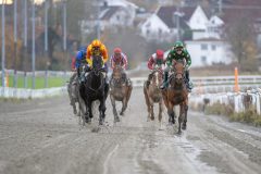 20251102-153055-DSC_1277