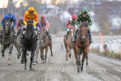 20251102-153058-DSC_1328