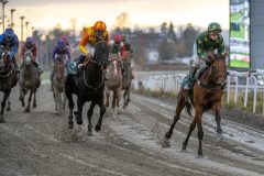 20251102-153059-DSC_1363