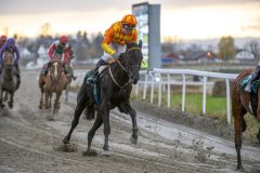 20251102-153100-DSC_1377