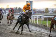 20251102-153100-DSC_1378