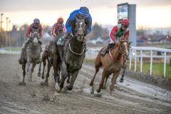 20251102-153101-DSC_1393