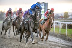 20251102-153101-DSC_1396