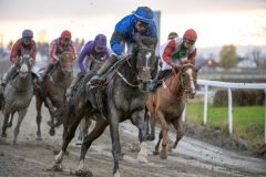 20251102-153101-DSC_1397