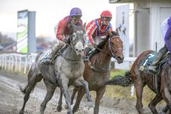 20251102-153102-DSC_1412