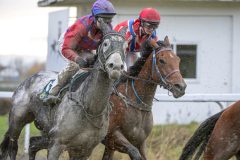 20251102-153102-DSC_1416