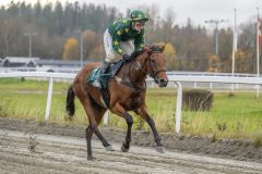 20251102-153116-DSC9958