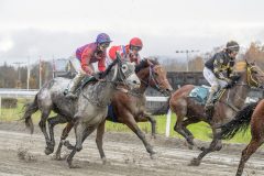 20251102-153118-DSC9964