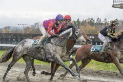 20251102-153118-DSC9966