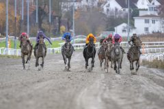 20251102-153226-DSC_1461