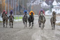 20251102-153229-DSC_1507