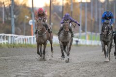 20251102-153231-DSC_1552