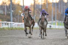 20251102-153231-DSC_1554