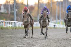 20251102-153231-DSC_1560