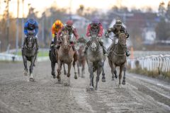 20251102-153232-DSC_1568