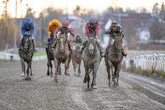 20251102-153232-DSC_1570