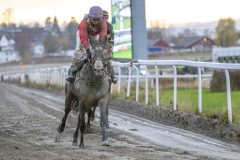 20251102-153234-DSC_1584