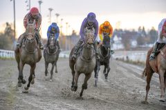 20251102-153235-DSC_1600