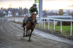 20251102-153238-DSC_1657