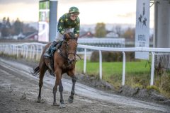 20251102-153239-DSC_1662