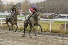 20251102-153249-DSC9976